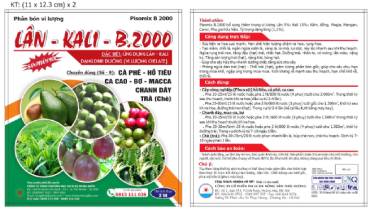 PSM B2000 LÂN CAO -  KALI -  TCP 2L